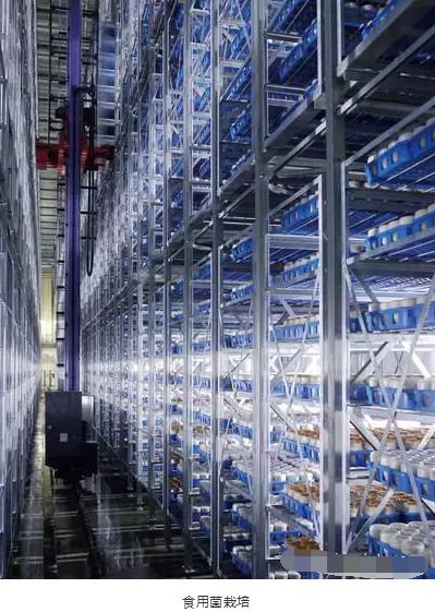 國內農產品自動化倉庫的應用 政策 管理系統介紹