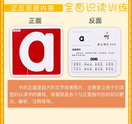 幼兒童看圖識字卡片全套5盒3 6歲寶寶看圖識字 數字卡片 漢語拼音卡片 嬰兒卡片撕不爛書籍