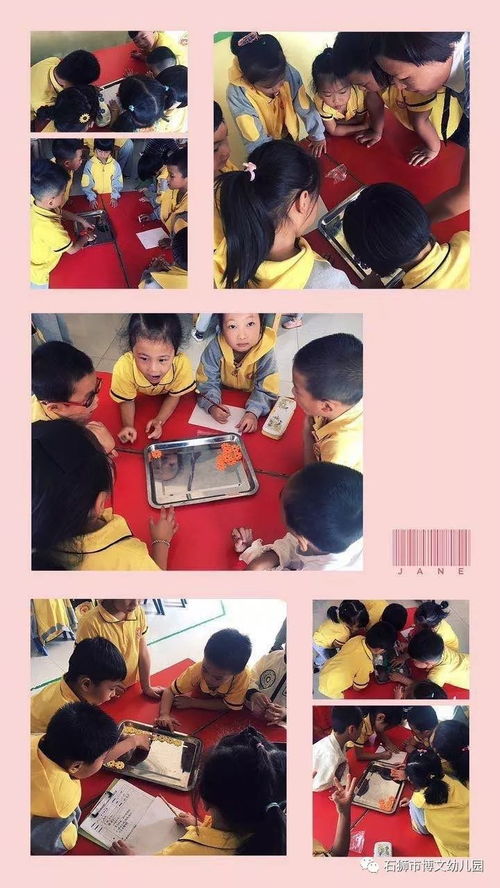 在操作中學習數學 記博文幼兒園數學公開課活動