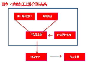 東霖食品 834020 深耕魷魚領(lǐng)域,打造全球水產(chǎn)品產(chǎn)業(yè)鏈體系丨價值大賽優(yōu)秀研報